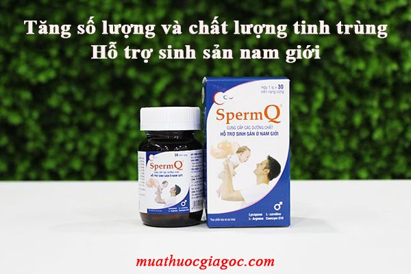 Tác dụng của thuốc SpermQ