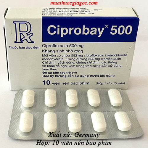 Thuốc Ciprobay mua ở đâu, giá bao nhiêu?