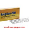 Giá thuốc Nalgidon 200