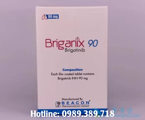 Giá thuốc Briganix 90
