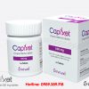 Giá thuốc Capixet 500mg