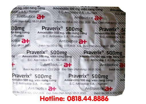 Giá thuốc Praverix 500mg