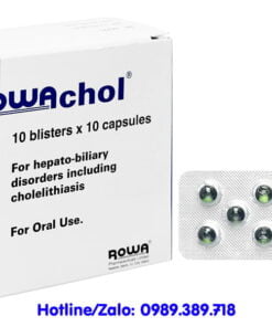 Giá thuốc Rowachol